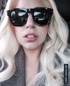Леди Гага появилась в новой социальной сети